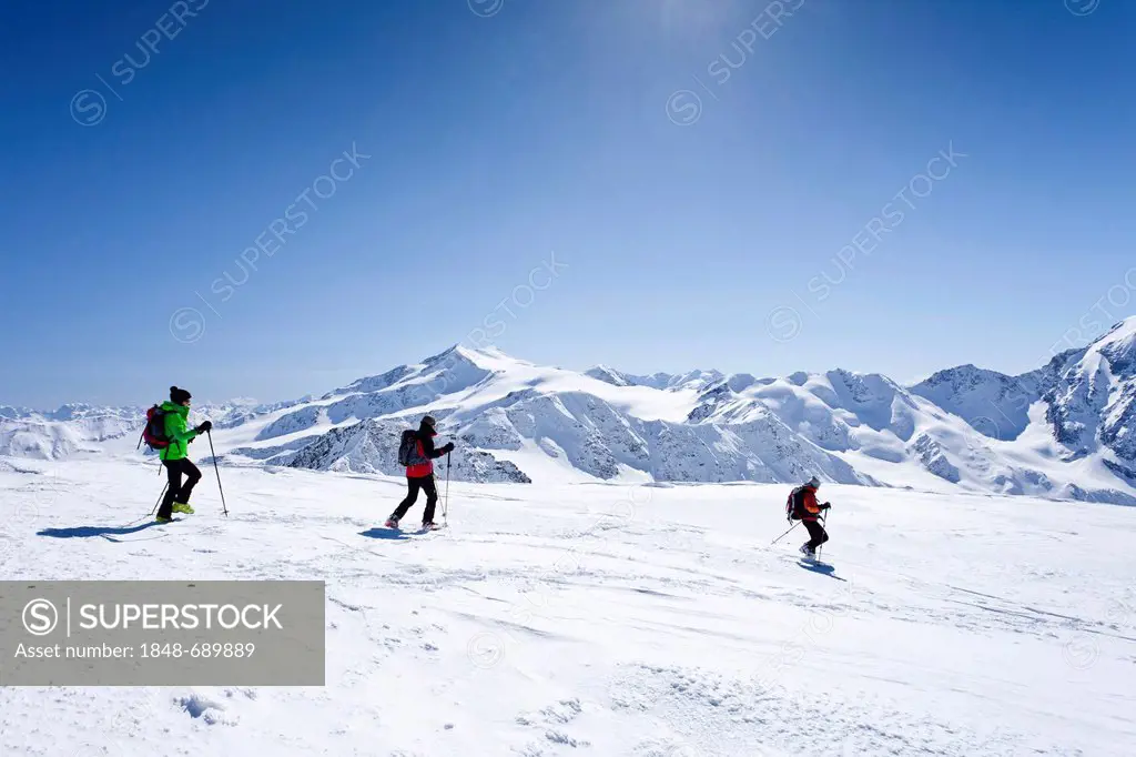 Ski tourers descending Mt. Hintere Schoentaufspitze, Solda in winter, behind Mt. Zufallspitze and Mt. Cevedale, South Tyrol, Italy, Europe