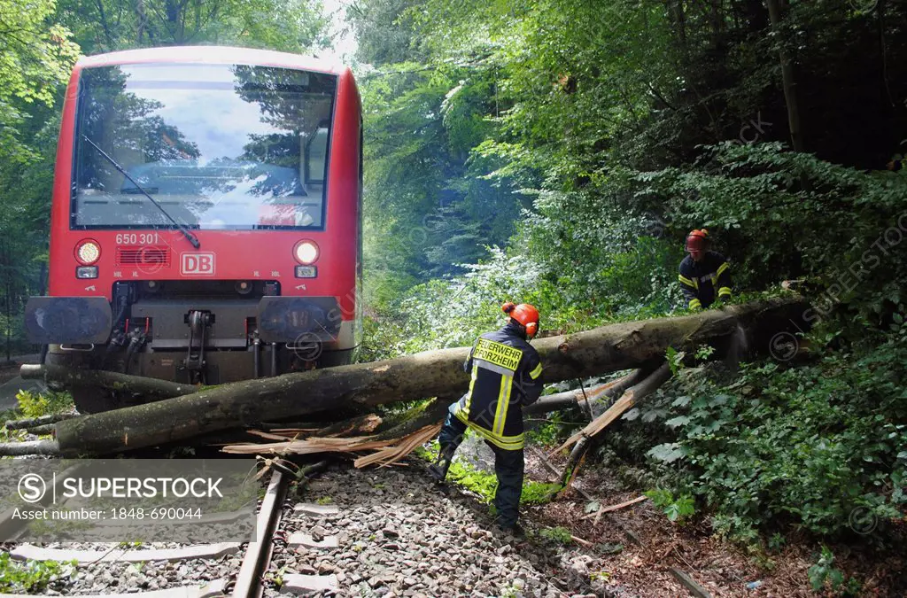 A fallen tree blocking the rail traffic between Dreizelgenberg Tunnel and Dillweissenstein railway station, Baden-Wuerttemberg, Germany, Europe