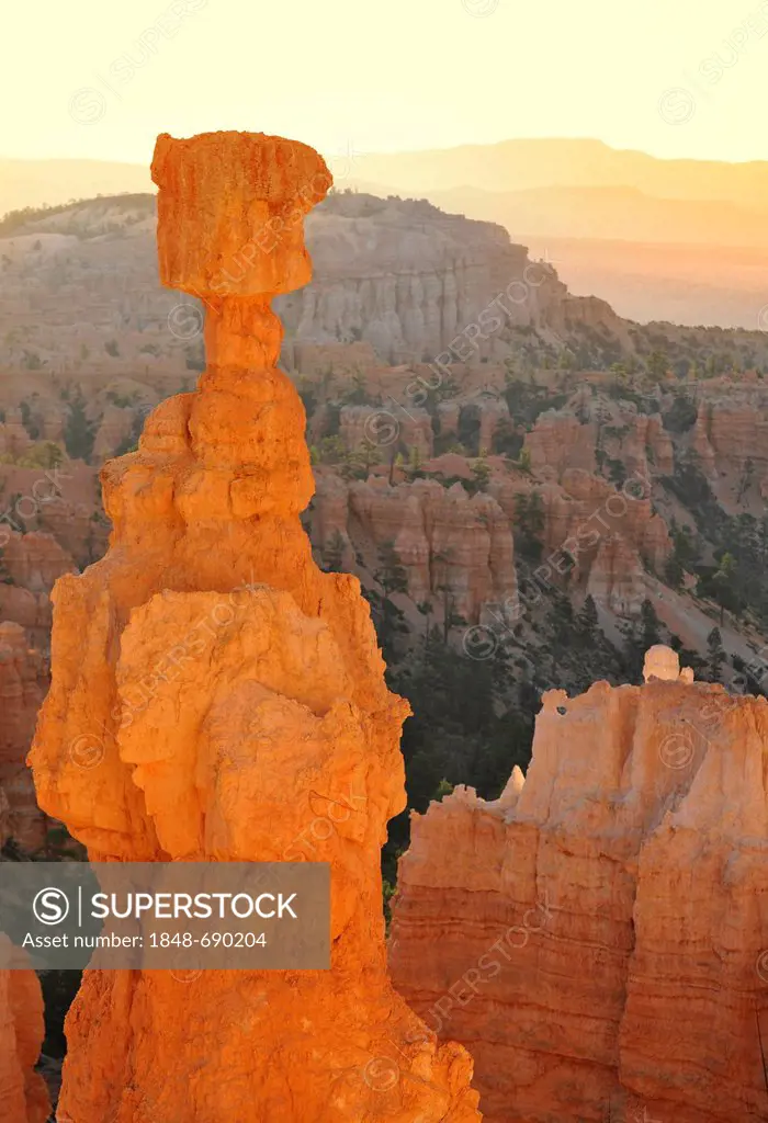 Rock formation, Thor's Hammer, sunrise, Sunset Point, Bryce Canyon National Park, Utah, United States of America, USA