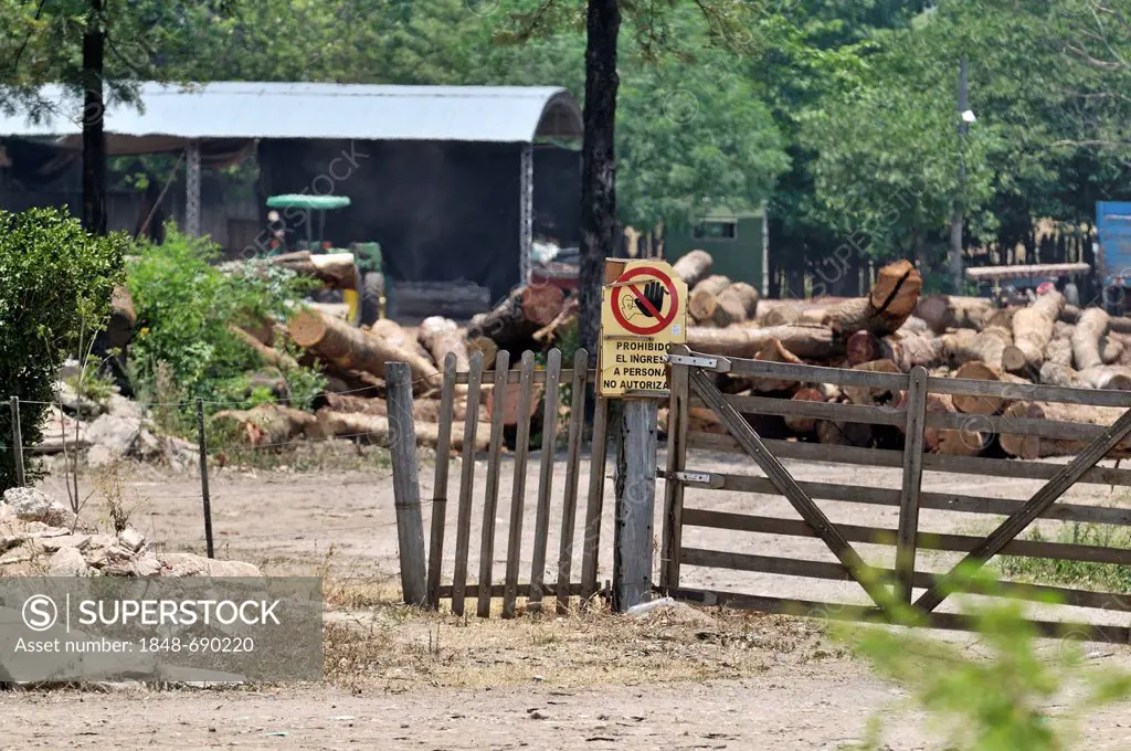 Storage place for valuable tropical hardwoods that are cut down illegally in the forests of the Gran Chaco region, Salta province, Argentina, South Am...