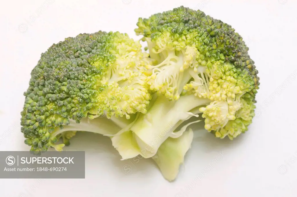 Broccoli