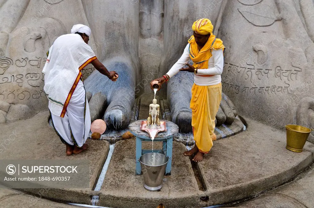 Two local priests are pouring milk over the feet of the statue of Lord Gomateshwara, the tallest monolithic statue in the world, dedicated to Lord Bah...