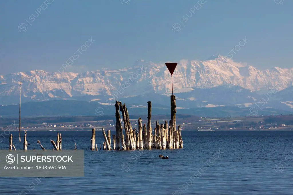 Remains of old jetty at Lake Constance with the peak of Mt Saentis, Alpstein massif, at back during foehn weather conditions, Baden-Wuerttemberg, Germ...