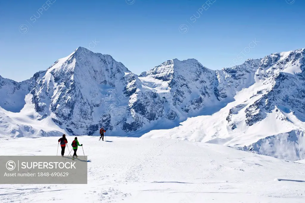 Ski mountaineers descending from Hintere Schoentaufspitze mountain, Sulden in winter, Koenigsspitze mountain and Zebru mountain at the back, province ...