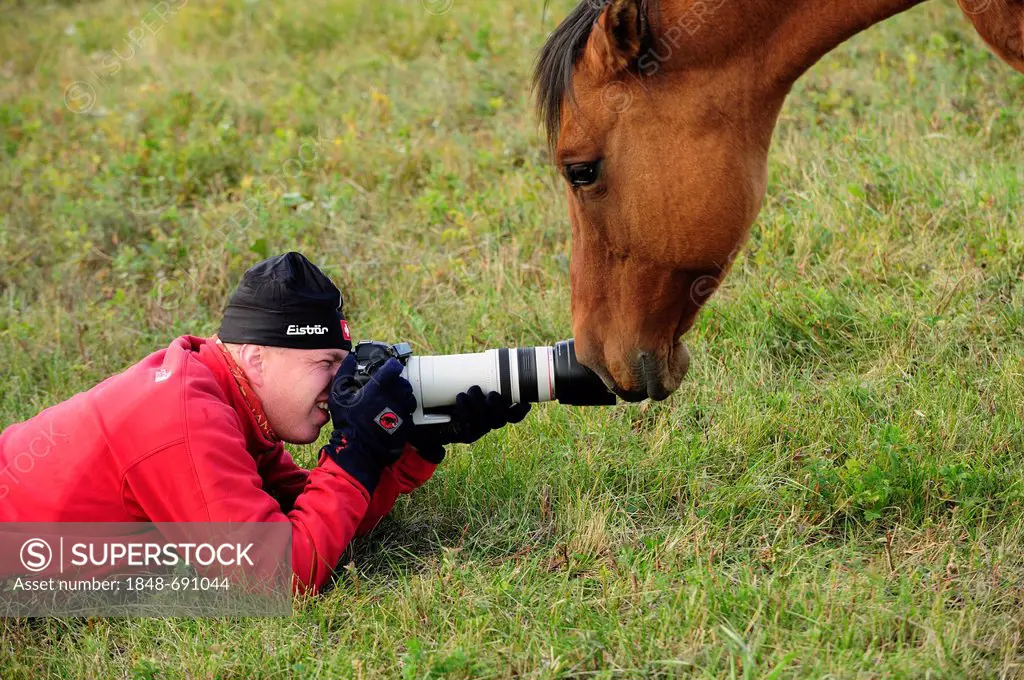 Horse sniffing the camera lens of a photographer