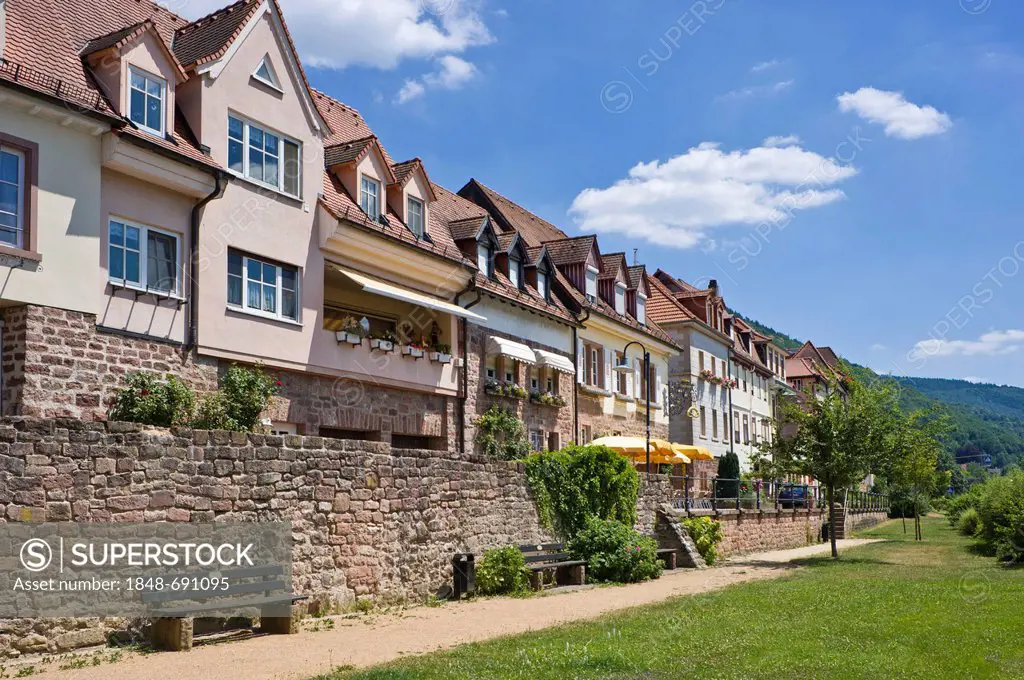 Houses on the city wall, Eberbach am Neckar, Baden-Wuerttemberg, Germany, Europe