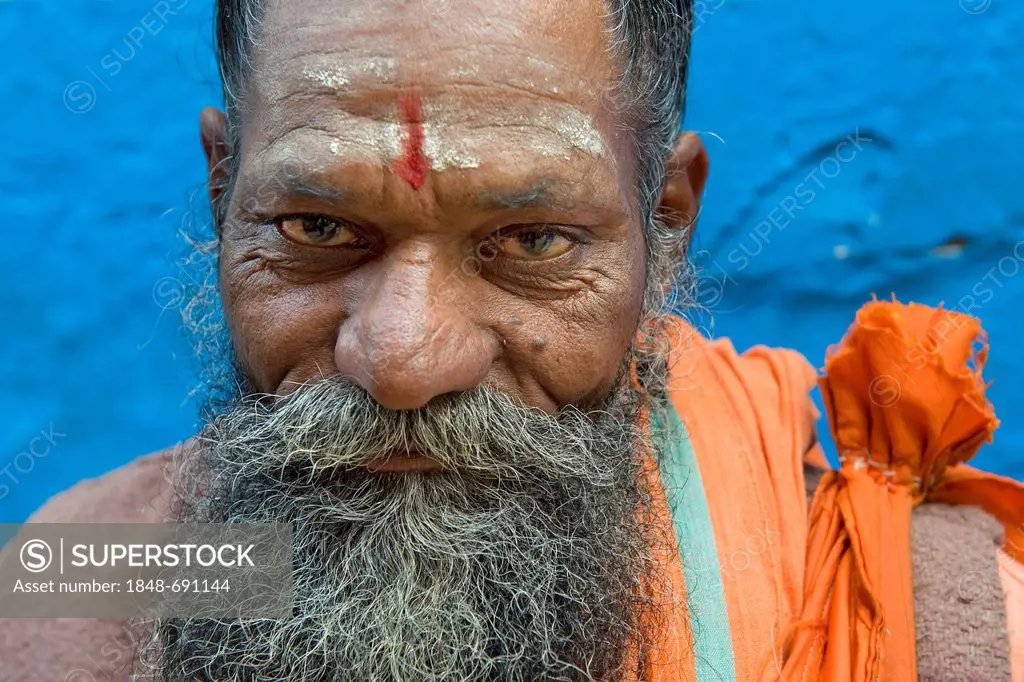 Sadhu holy man, Varanasi, Uttar Pradesh, India, Asia