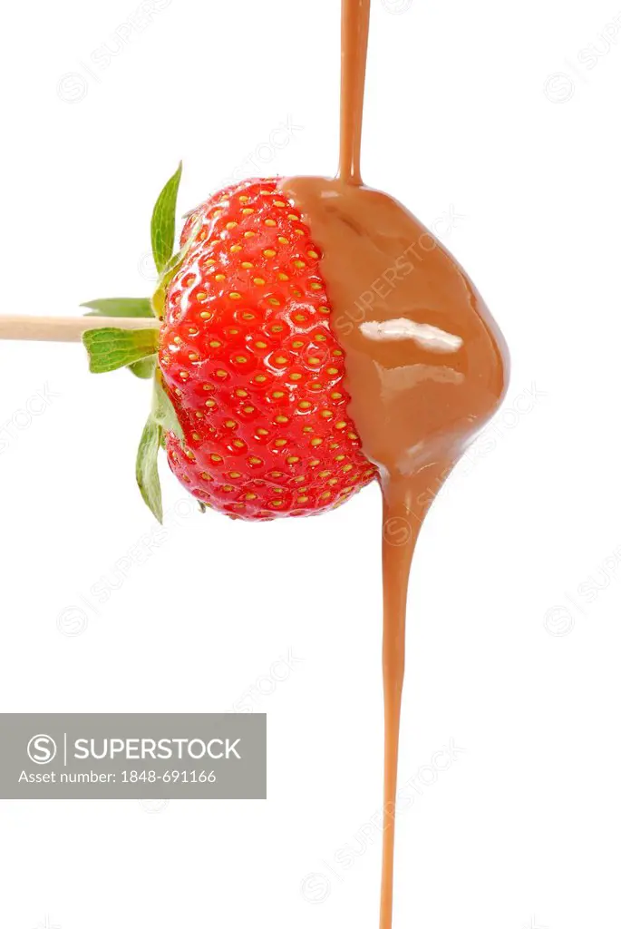 Chocolate cream flowing over a strawberry