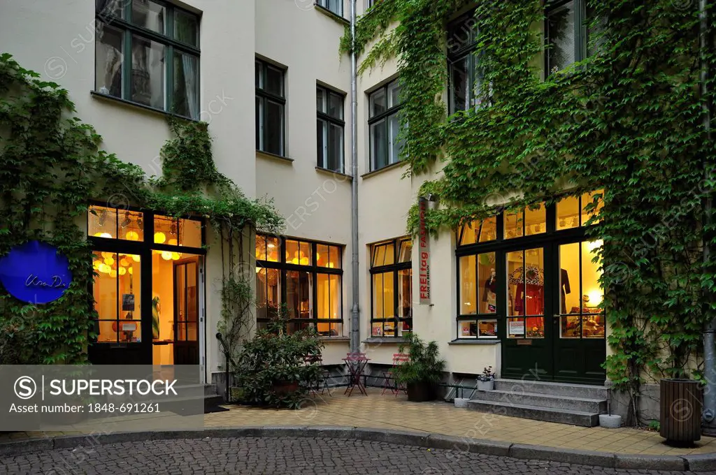 Shop, Hackesche Hoefe courtyards, Mitte district, Berlin, Germany, Europe