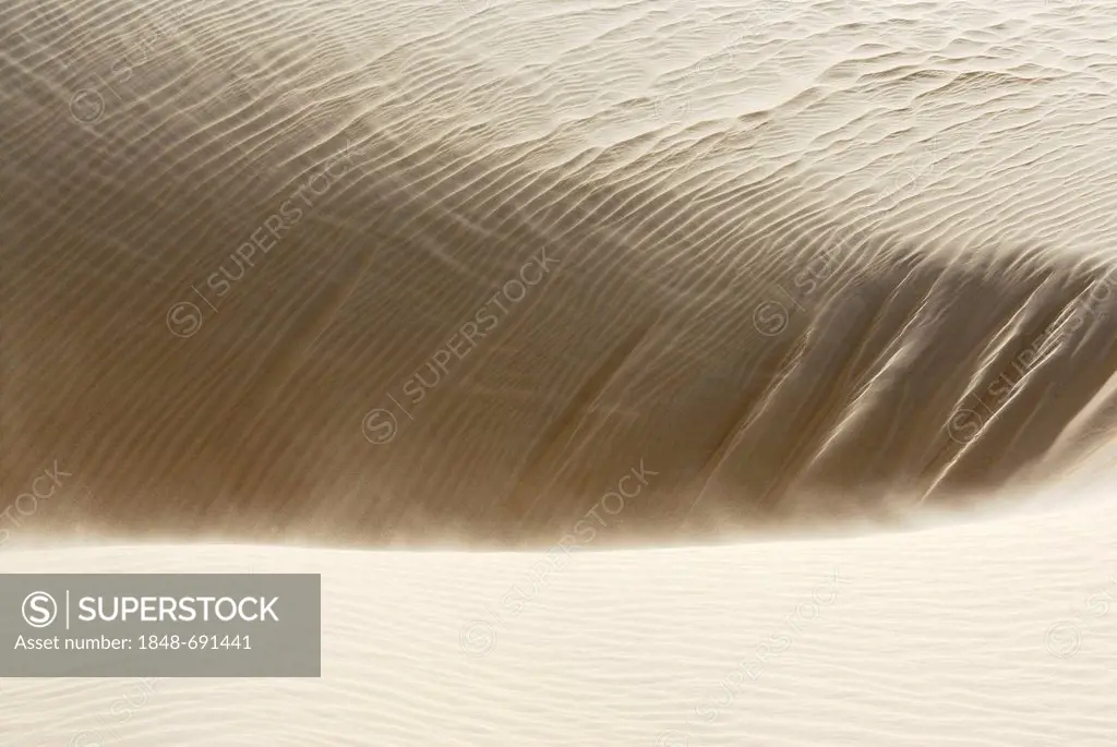 Sand storm, structures in sand, sand dunes between Dakhla Oasis and Kharga Oasis, Western Desert, Egypt, Africa