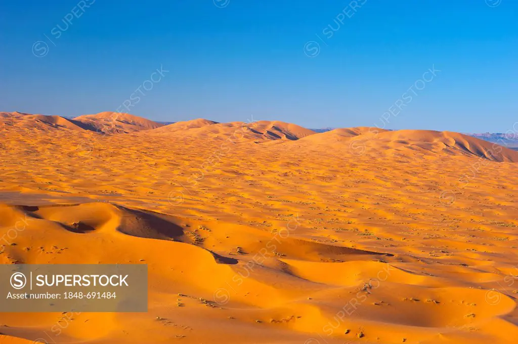 Sand dunes, Erg Chebbi, southern Morocco, Africa
