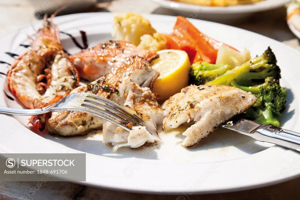Fish platter, King Prawn, salmon, red mullet, pike-perch fillet, carrots, cauliflower, broccoli