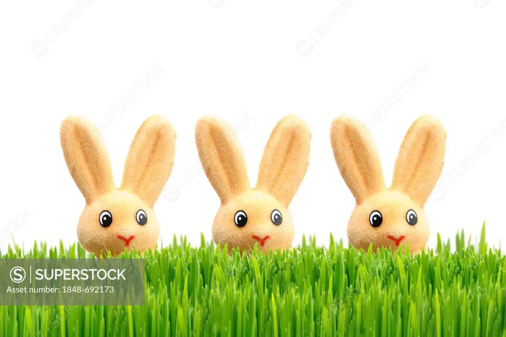 Three Easter bunnies, Easter decoration, green grass