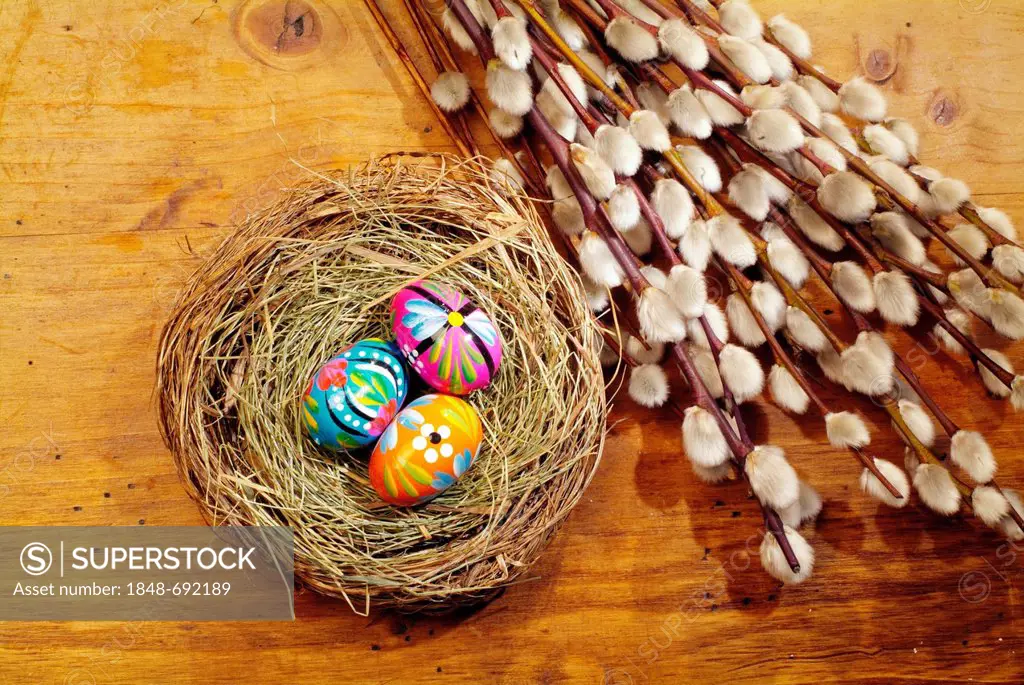Colourful Easter eggs in a nest and catkins