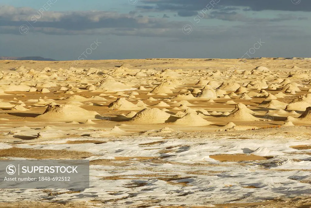 Wavelike rocks and ball-shaped mountains, White Desert, Farafra Oasis, Western Desert, Egypt, Africa