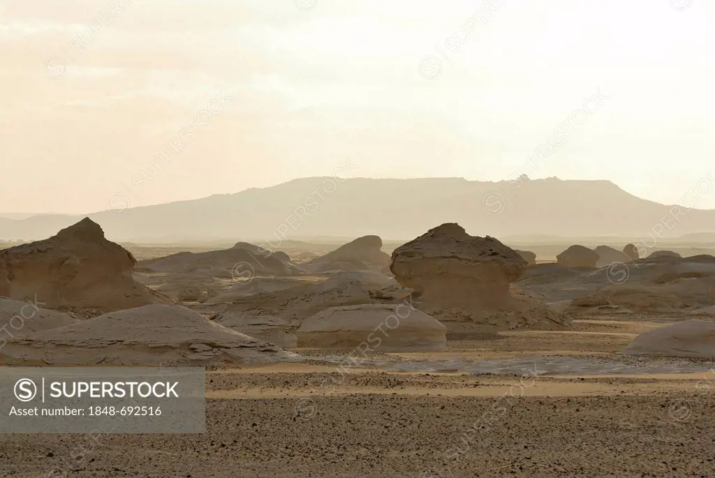 Limestone rock formations at sunset, White Desert, Farafra Oasis, Western Desert, Egypt, Africa