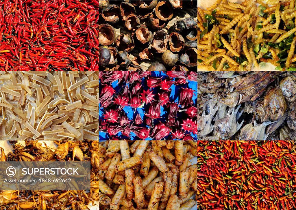 Grasshoppers, worms, chili, fish, spring rolls, typical foods of Thailand, Southeast Asia, Asia