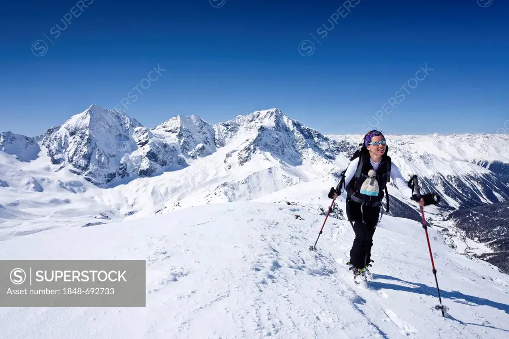 Cross-country skier ascending Hintere Schoentaufspitze Mountain, Solda in winter, looking towards Koenigsspitze, Ortler and Zebru mountains, Alto Adig...