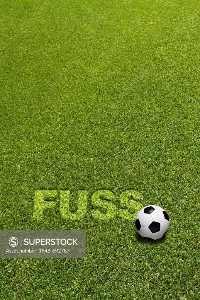 Football on grass below the lettering FUSS, German for foot, composing