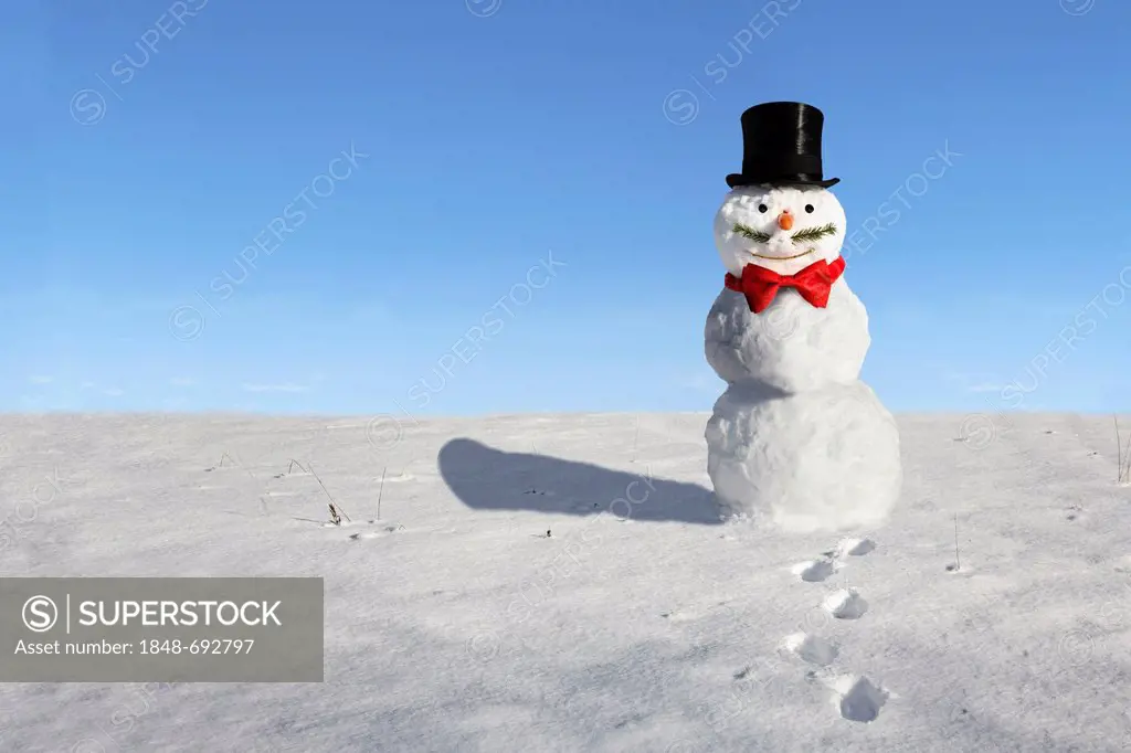 Snowman with a top hat, bow tie and a mustache
