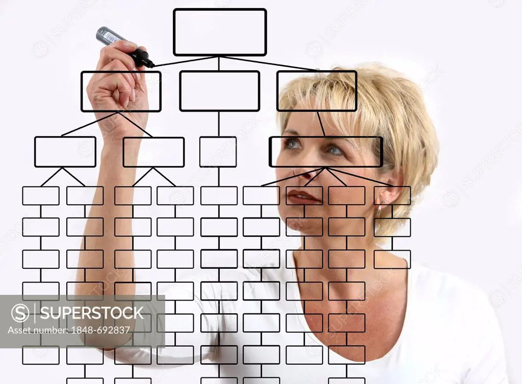 Woman drawing an organisational chart