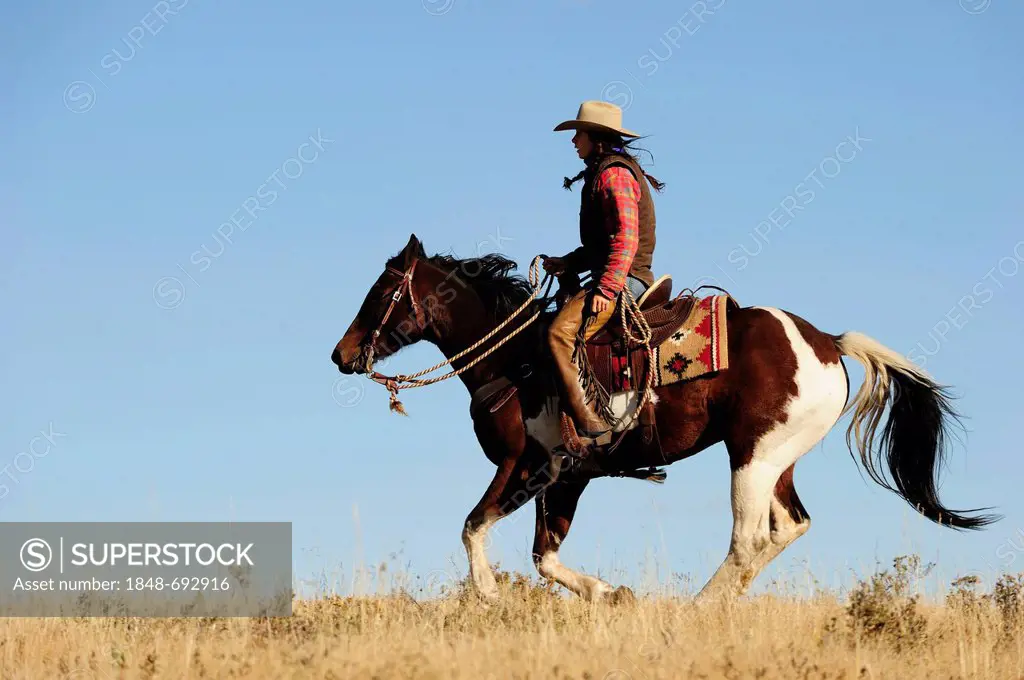 Cowgirl rides across the prairie, Saskatchewan, Canada, North America