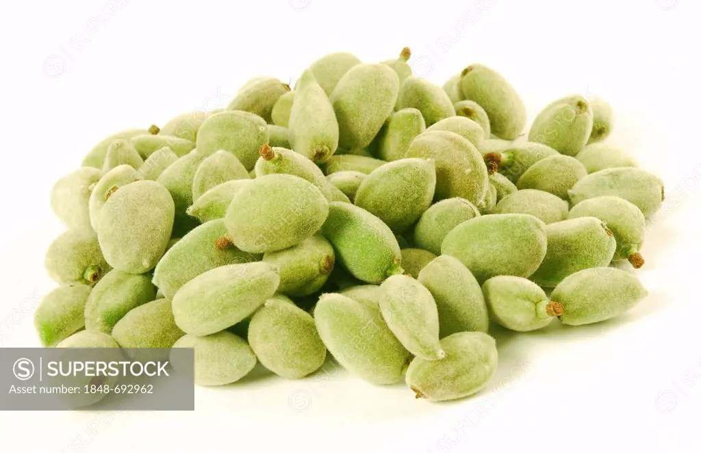 Fresh almonds (Prunus dulcis)
