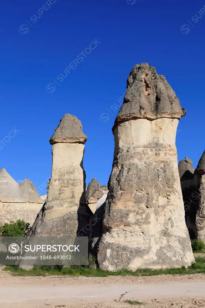 Fairy chimneys, rock formations of tufa, Pasabag Valley, Goreme, Cappadocia, central Anatolia, Turkey