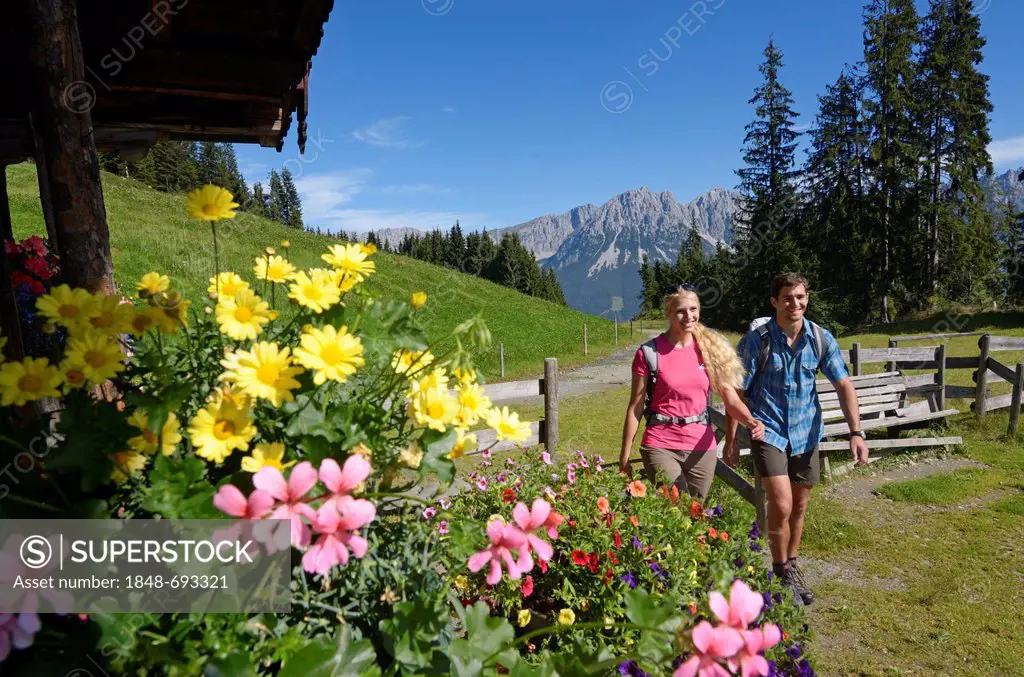Hikers on Hausberg Mountain, Hartkaiser, view towards the Wilder Kaiser Mountains, Tyrol, Austria, Europe