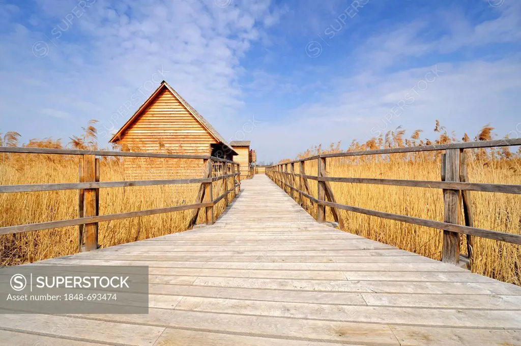 Federseesteg footbridge in the marsh with shelter and observation tower, Bad Buchau, Landkreis Biberach district, Baden-Wuerttemberg, Germany, Europe