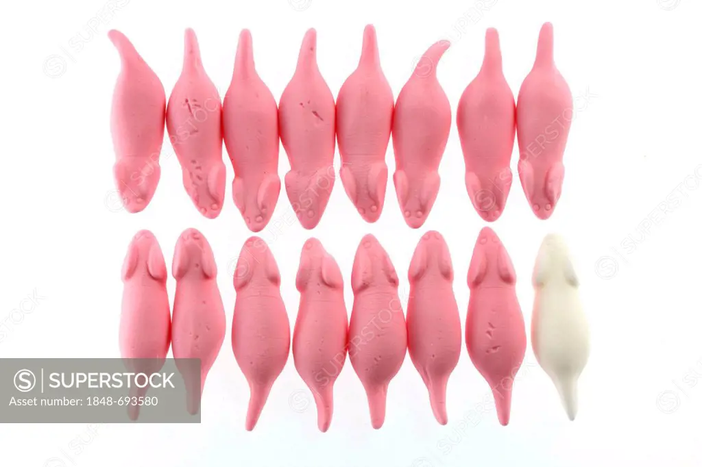 Pink marshmallow mice and a single white mouse