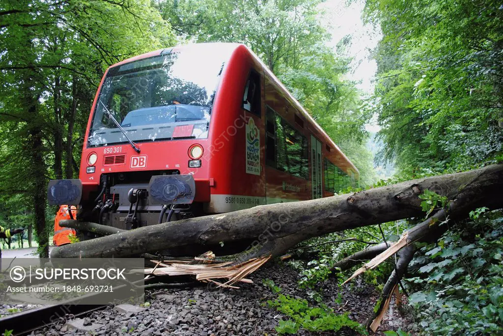 A fallen tree blocking the rail traffic between Dreizelgenberg Tunnel and Dillweissenstein railway station, Baden-Wuerttemberg, Germany, Europe