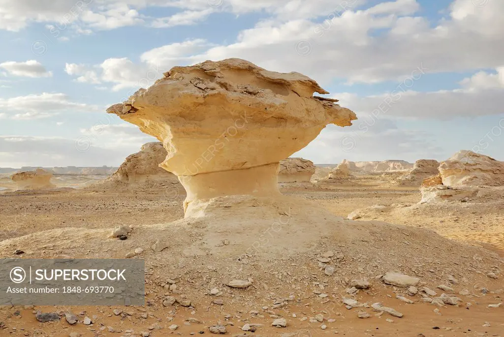 Mushroom-shaped limestone rock formation, White Desert, Farafra Oasis, Western Desert, Egypt, Africa