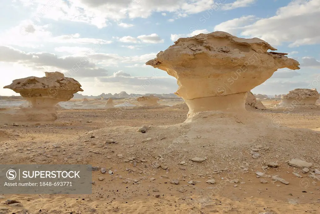 Mushroom-shaped limestone rock formations, White Desert, Farafra Oasis, Western Desert, Egypt, Africa