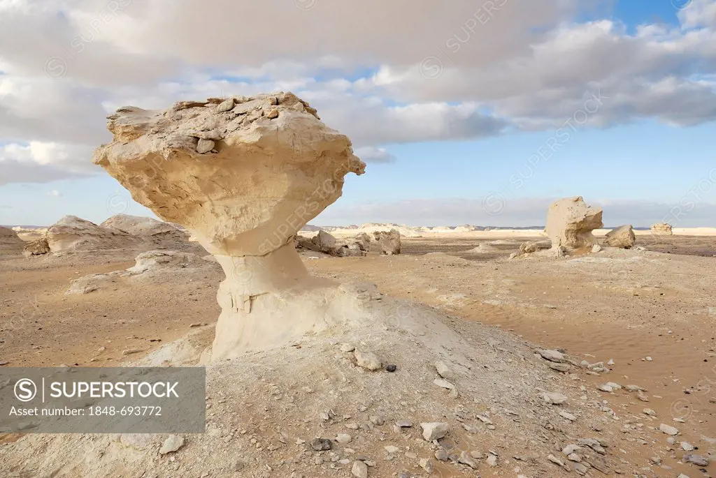 Mushroom-shaped limestone rock formations, White Desert, Farafra Oasis, Western Desert, Egypt, Africa