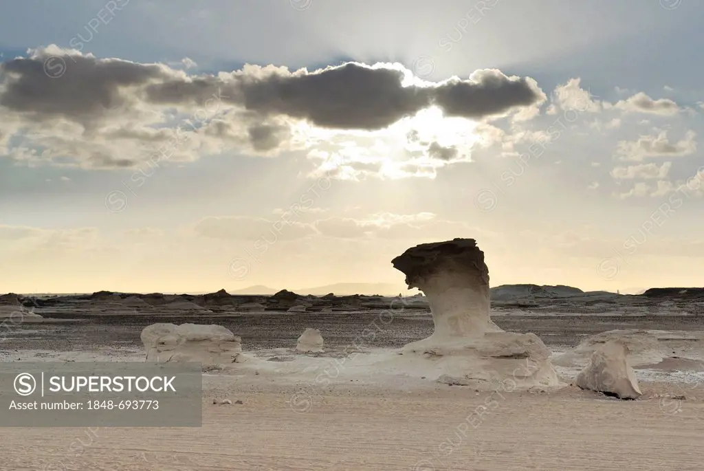 Mushroom-shaped limestone rock formation, White Desert, Farafra Oasis, Western Desert, Egypt, Africa