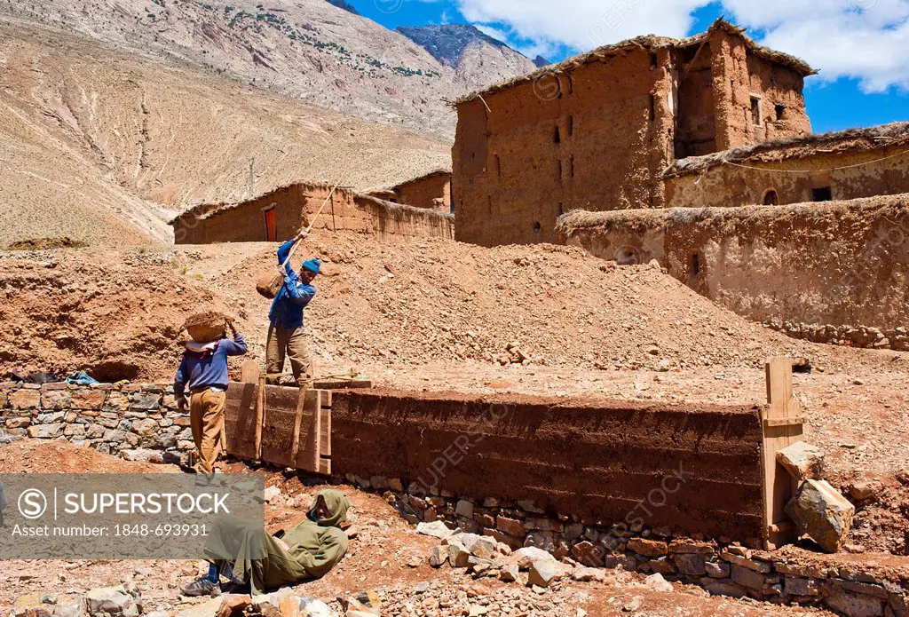 Workers building a rammed-earth wall for a new house, the clay is compacted in a mould box with a wooden pestle, Ait Bouguemez, High Atlas Mountains, ...