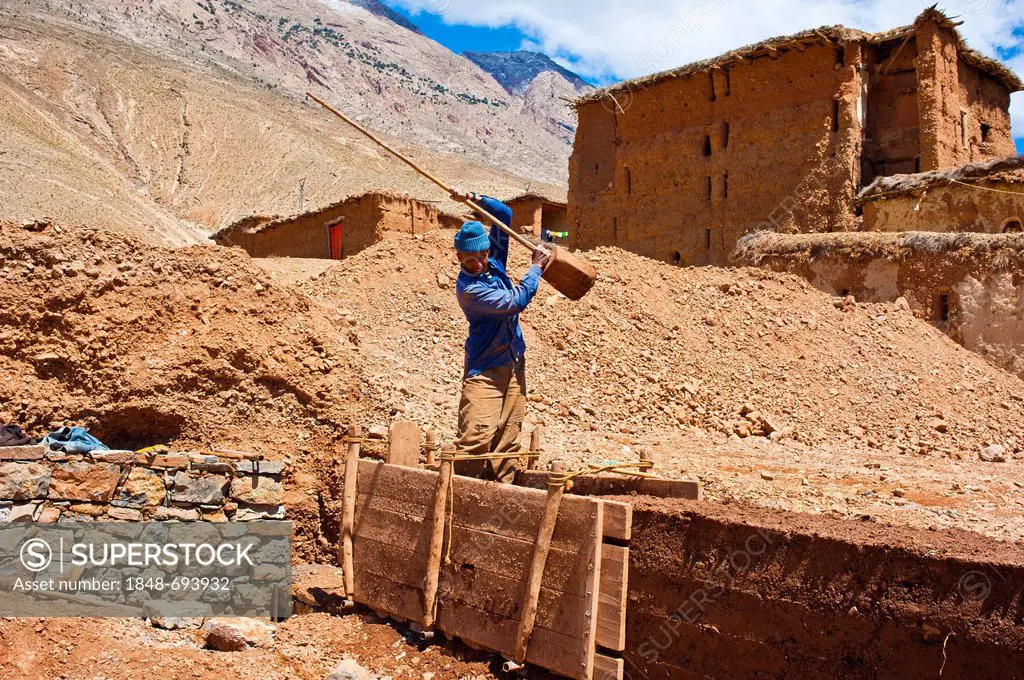 Worker building a rammed-earth wall for a new house, the clay is compacted in a mould box with a wooden pestle, Ait Bouguemez, High Atlas Mountains, M...