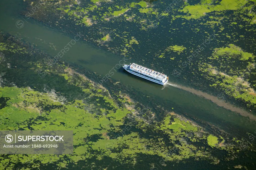 Aerial view, waterweeds, Elodea algae on the Kemnade Reservoir, with the excursion boat Schwalbe, Witten, border of Bochum, Ruhr Area, North Rhine-Wes...