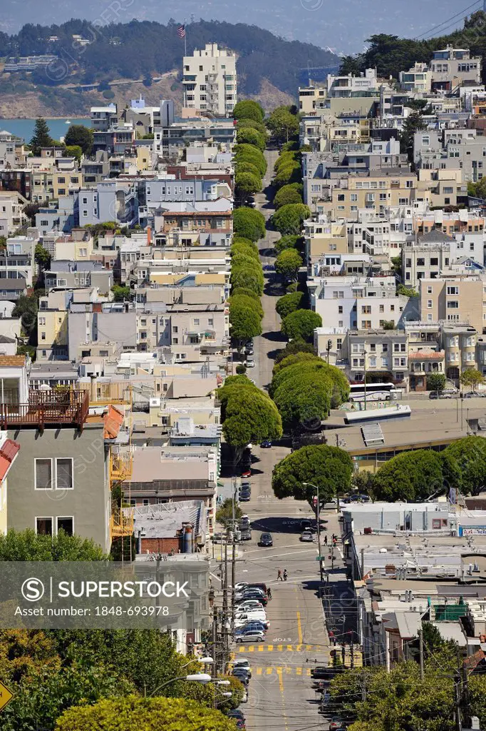 View from Lombard Street to Telegraph Hill and Treasure Island, San Francisco, California, United States of America, USA, PublicGround
