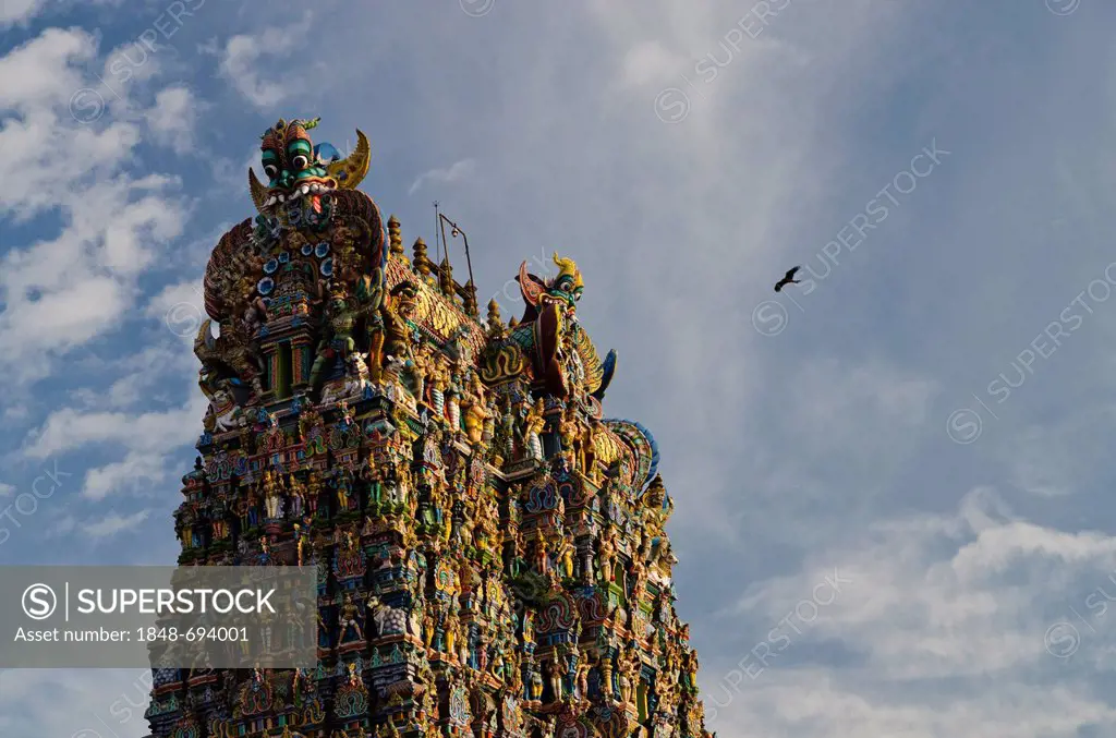 Gopuram of the Menakshi-Sundareshwara Temple, up to 50 m high, artfully decorated with thousands of colourful statues of gods and deities, Madurai, Ta...