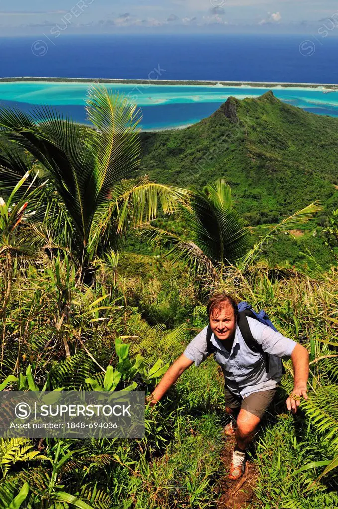 Hiking on Mount Pahia, Bora Bora, Leeward Islands, Society Islands, French Polynesia, Pacific Ocean