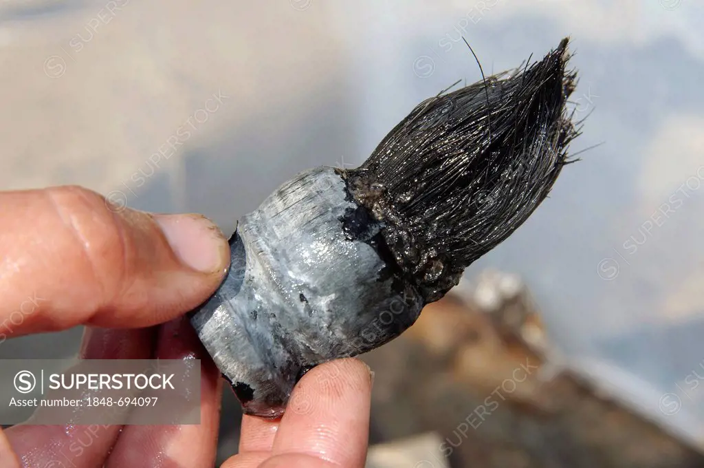 Small brush, from plane wreck Junkers JU-52, Black Sea, Odessa, Ukraine, Eastern Europe