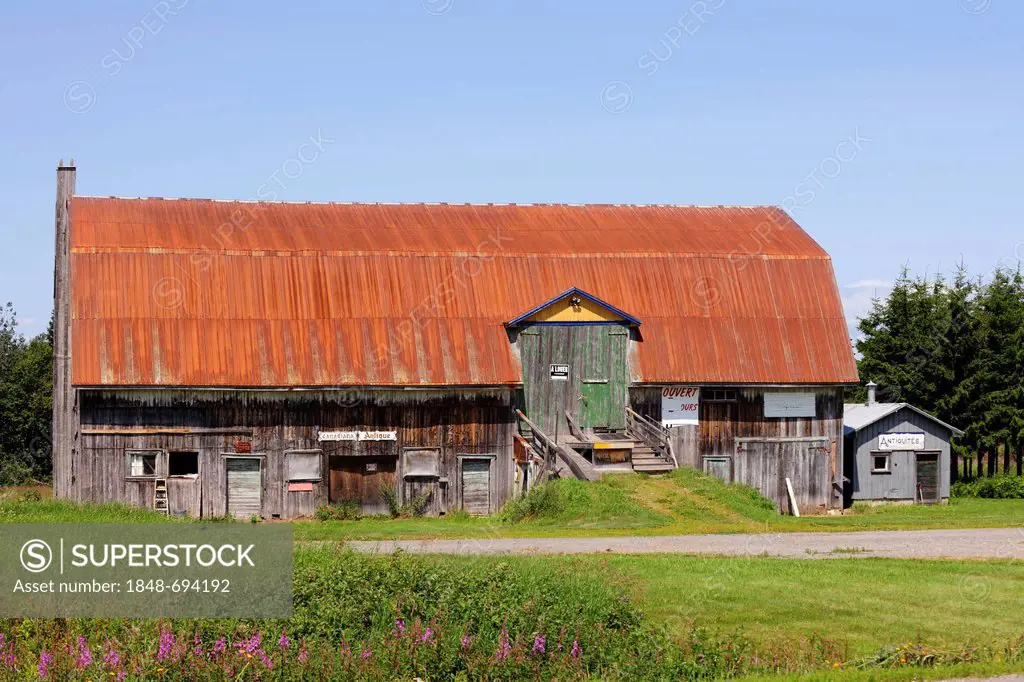 Old barn for rent, Gaspe Peninsula, Gaspésie, Quebec, Canada