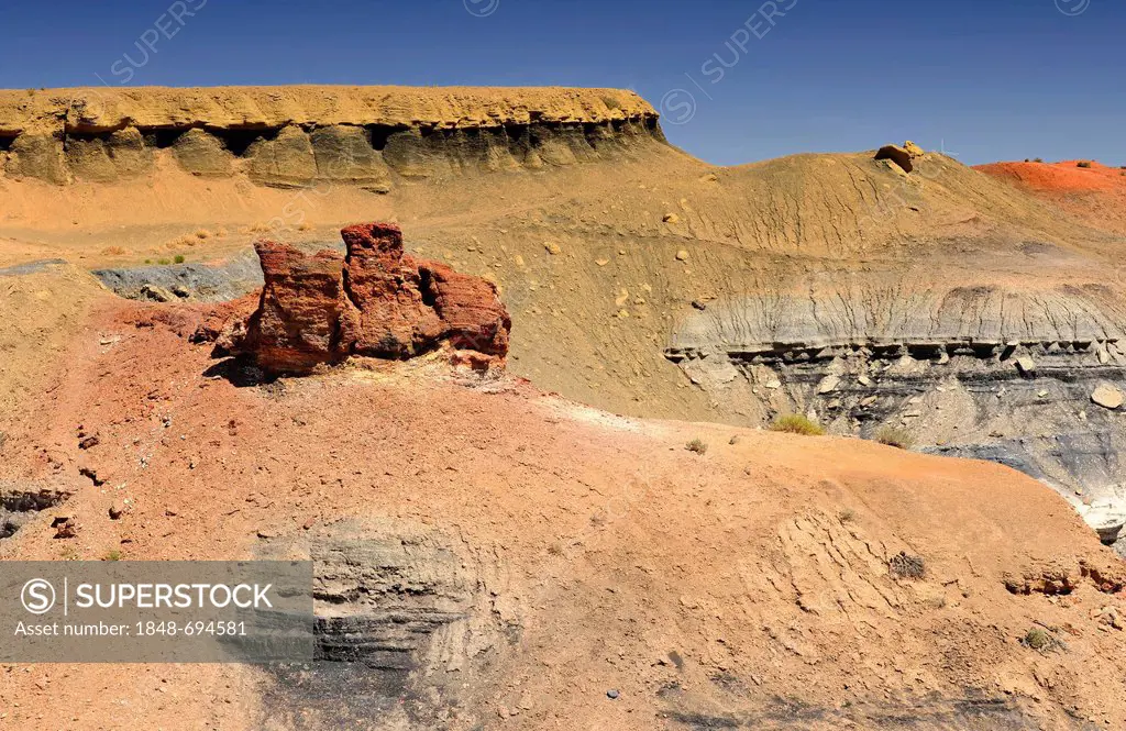 Eroded hoodoos and rock formations in the Coal Mine Canyon, coloured by minerals, Coal Mine Mesa, Painted Desert, Hopi Reservation, Navajo Nation Rese...