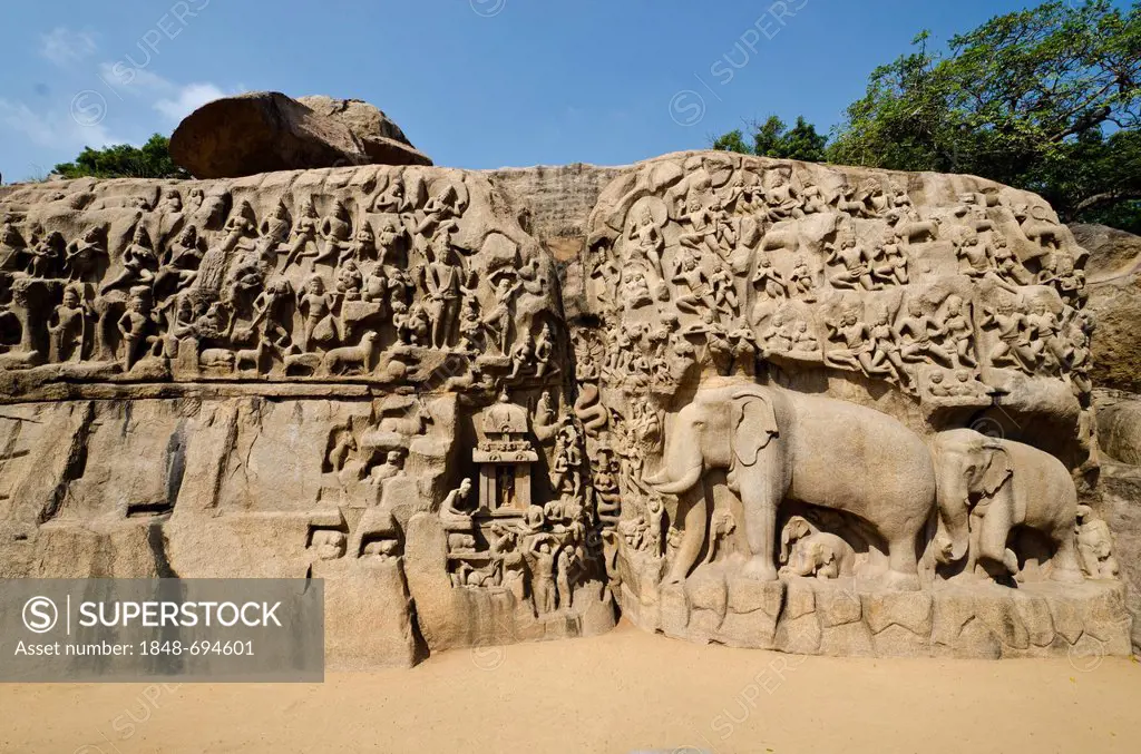 Rockcarvings in Mahabalipuram, Tamil Nadu, India, Asia