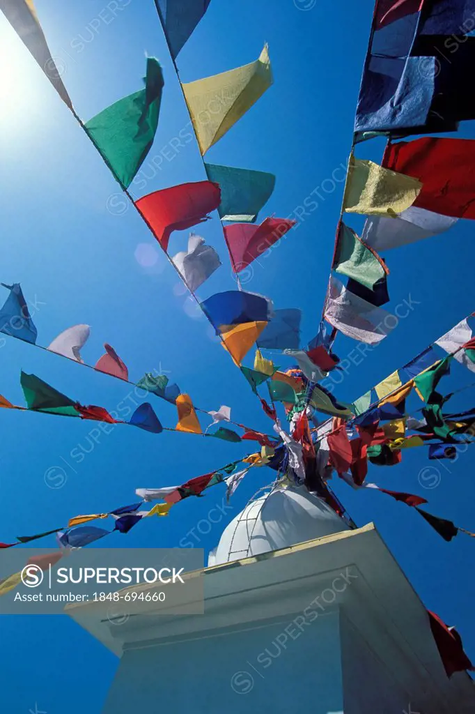 Chorten, prayer flags, Tibetan Buddhism, site of the Norbulingka Institute, Kangra Valley, Himachal Pradesh, North India, India, Asia