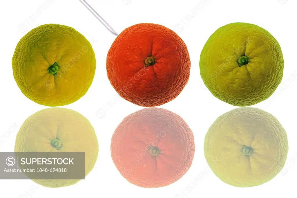 A syringe injecting an orange-coloured orange, yellow-green oranges on either side