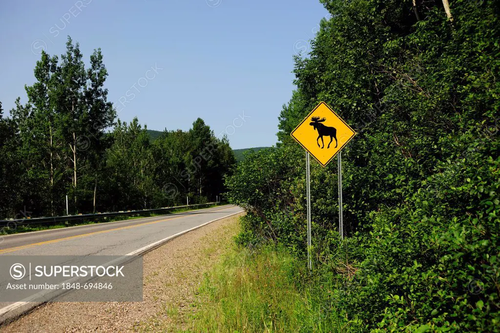 Road sign warning of crossing moose, Parc national de la Gaspésie national park in the Chic-Choc Mountains, Gaspésie or Gaspé Peninsula, Quebec, Canad...