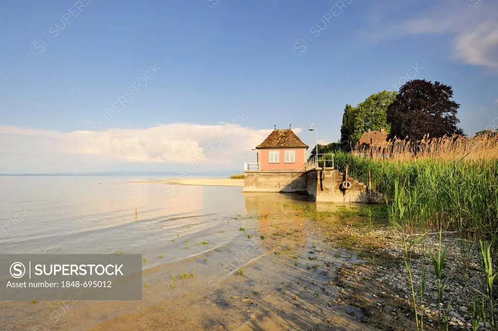 Gravel shore on Lake Constance with young reeds and bathing cabin, Guettingen, Canton Thurgau, Switzerland, Europe
